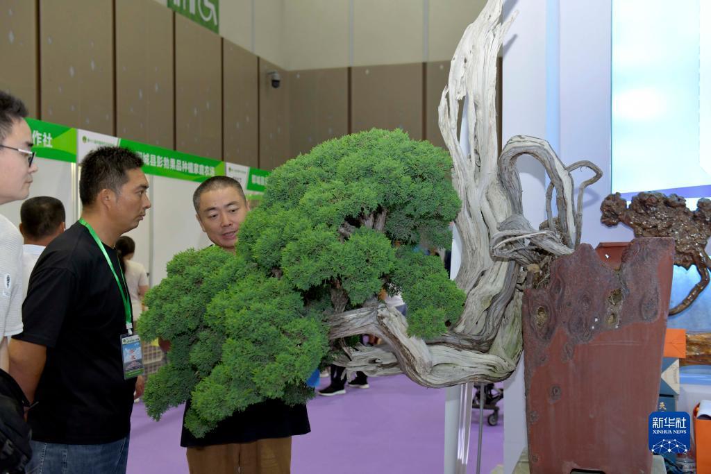上游棋牌登录不上
